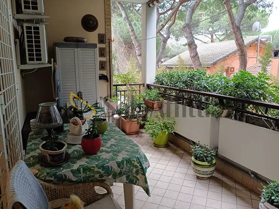 Immagine 13 di Trilocale in affitto  in Piazza Monsignor Lionello Berti 20 a Roma