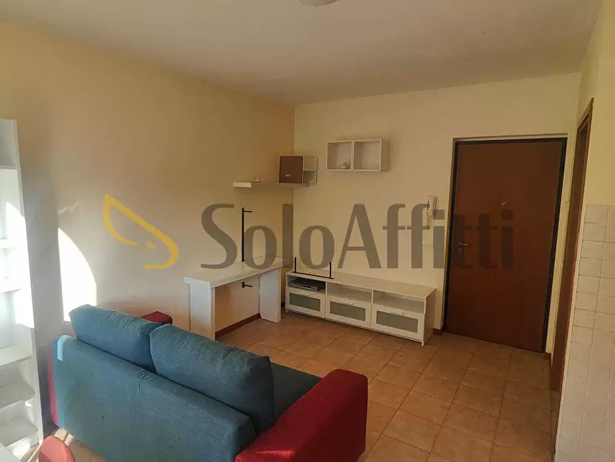 Immagine 11 di Monolocale in affitto  in Via Alessandro Manzoni 46 a Tromello