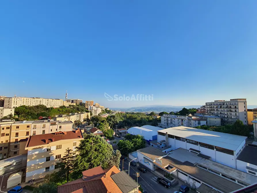 Immagine 9 di Trilocale in affitto  a Catanzaro