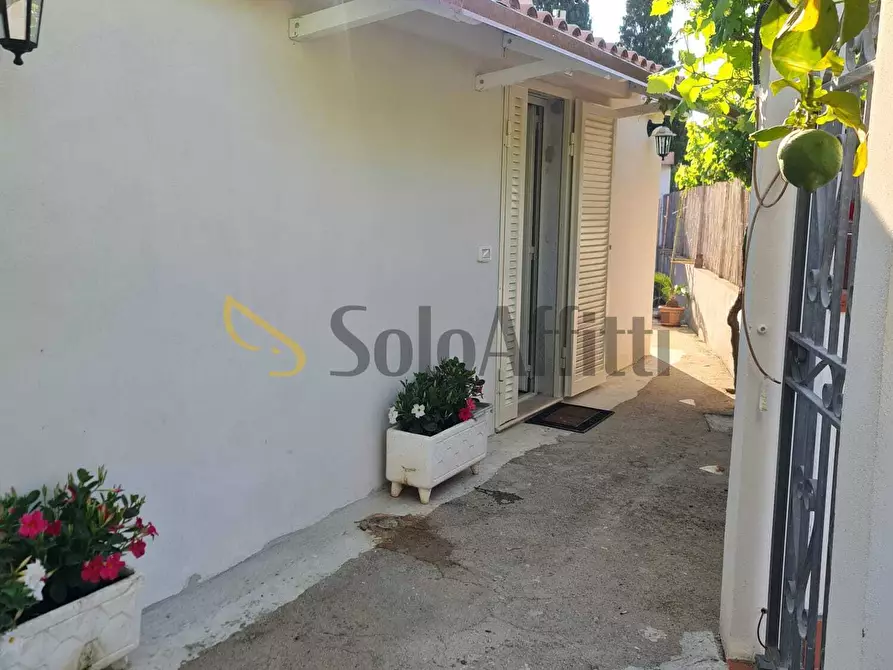 Immagine 11 di Bilocale in affitto  in via delle Muse a San Felice Circeo