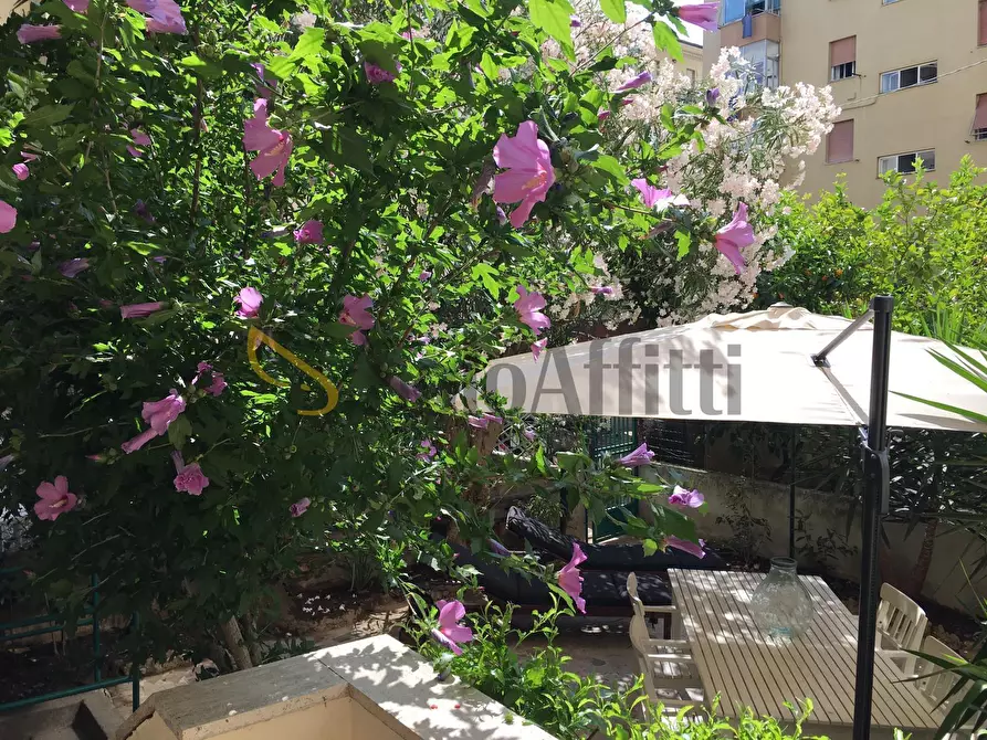 Immagine 13 di Quadrilocale in affitto  in Viale Fabbricotti 106 a Livorno