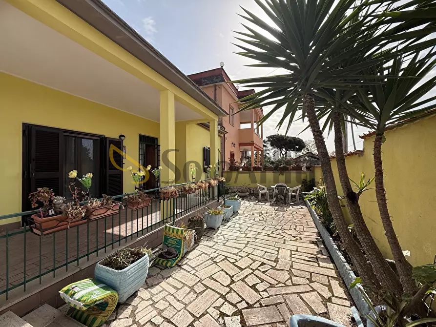 Immagine 20 di Villa in affitto  in Via Cittareale a Nettuno