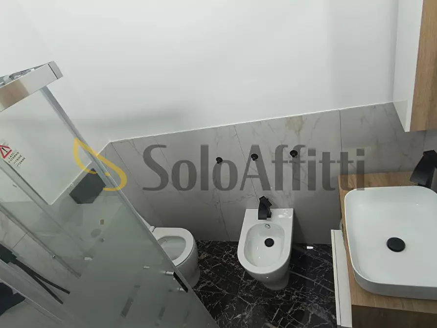 Immagine 19 di Trilocale in affitto  in Corso Raffaello 23/D a Torino