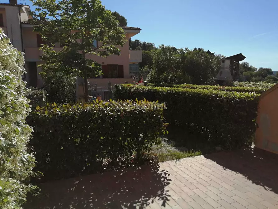 Immagine 12 di Bilocale in affitto  in via parri 155 a Rosignano Marittimo