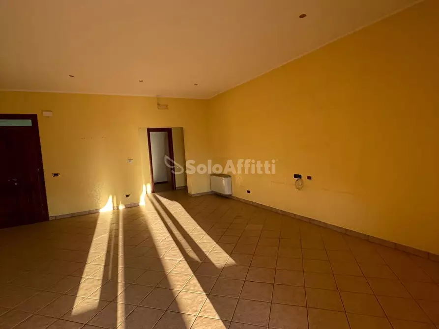 Immagine 19 di Trilocale in affitto  a Ceccano