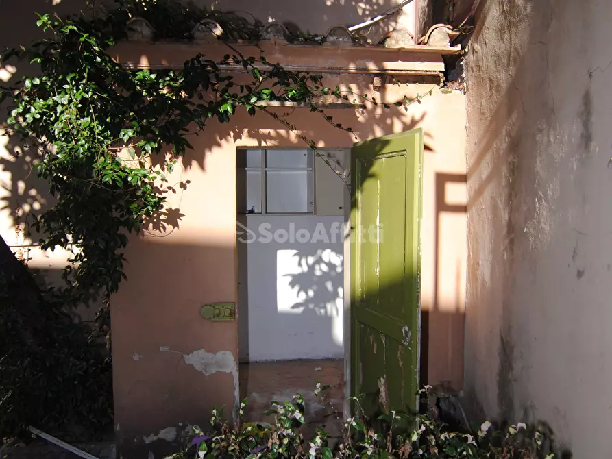 Immagine 11 di Locale commerciale in affitto  a Livorno