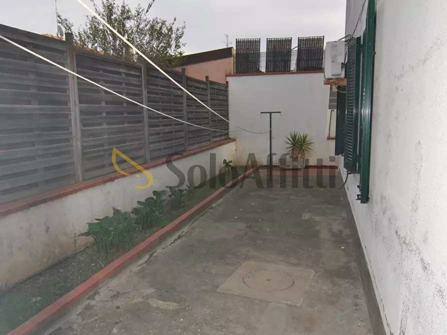 Immagine 15 di Trilocale in affitto  a Rosignano Marittimo