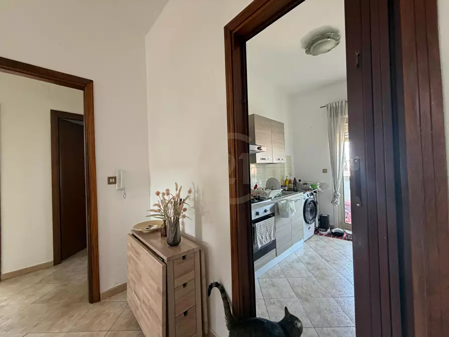 Immagine 13 di Appartamento in vendita  in Via Zappalà 5 a Mascalucia