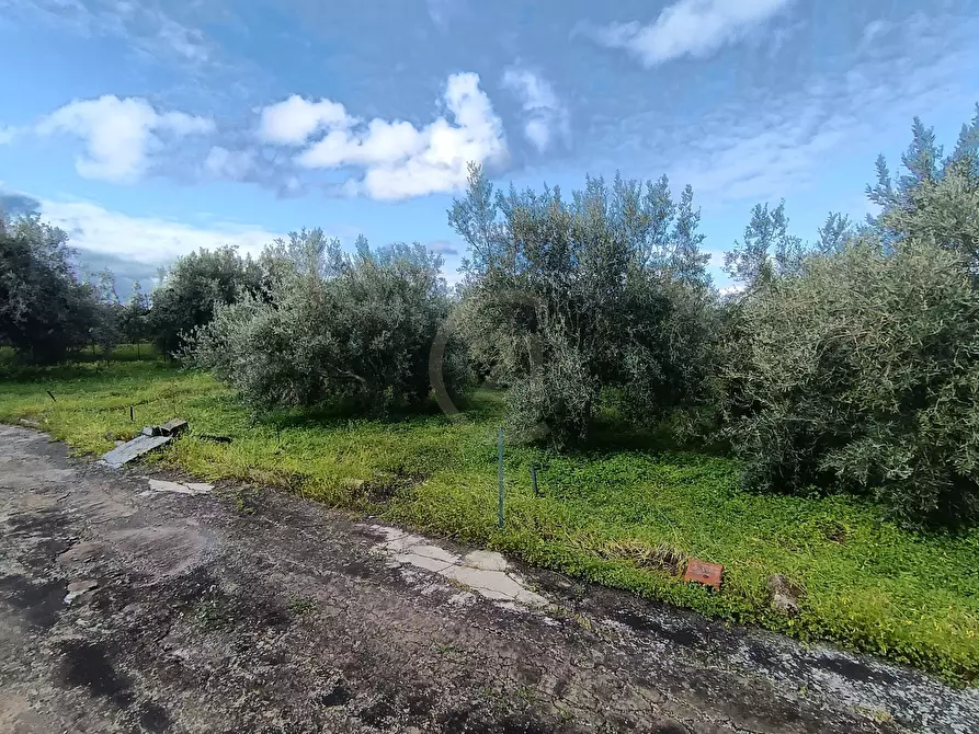 Immagine 24 di Terreno agricolo in vendita  in GRV6+27 Paternò, Città metropolitana di Catania a Paterno'