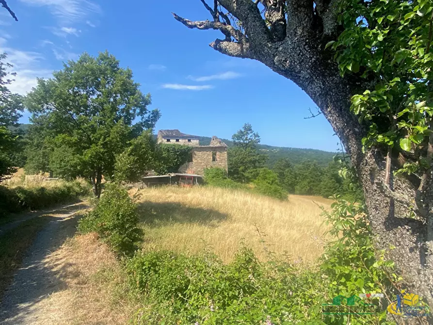 Immagine 1 di Terreno agricolo in vendita  in Località Molinelli 59 a Berceto