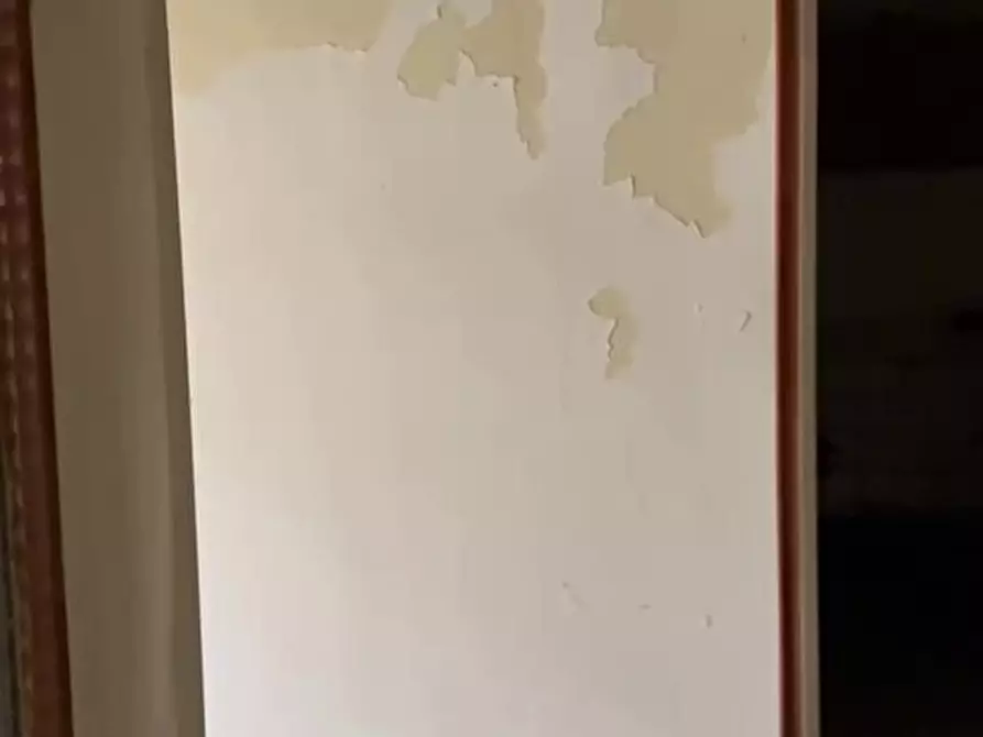 Immagine 12 di Casa indipendente in vendita  in Via Biagio Pelacani 6 a Noceto