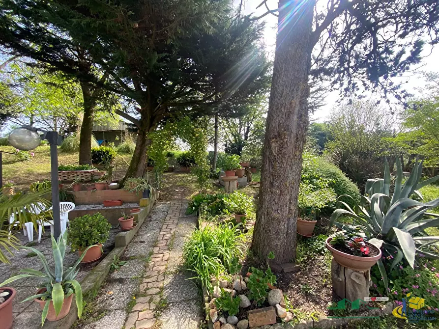 Immagine 4 di Casa indipendente in vendita  in Strada per Varano Marchesi 37 a Medesano