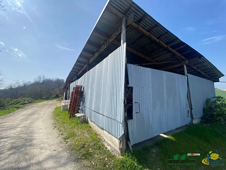 Immagine 9 di Terreno agricolo in vendita  in Miano a Medesano