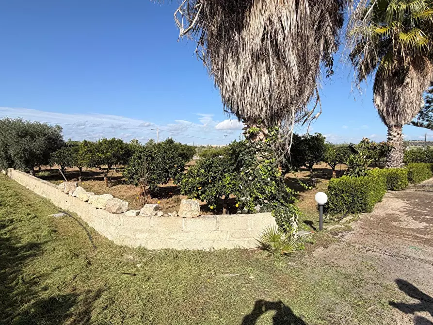 Immagine 3 di Villa in vendita  in Via del Giglio a Ispica