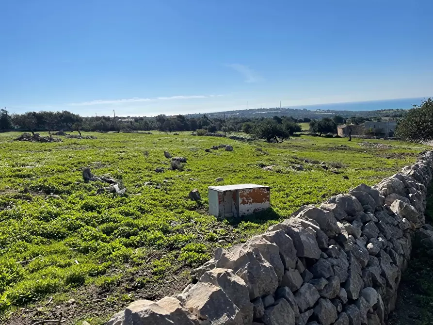 Immagine 3 di Terreno agricolo in vendita  in Contrada San Marco a Scicli