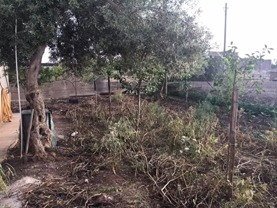 Immagine 21 di Terratetto in vendita  a Modica