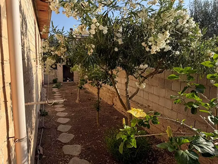 Immagine 12 di Villa in vendita  in Via dell'Alloro 121 a Ispica