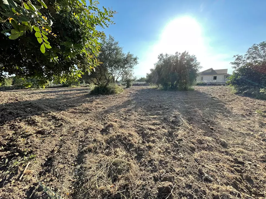 Immagine 12 di Casa indipendente in vendita  in SP23 a Modica