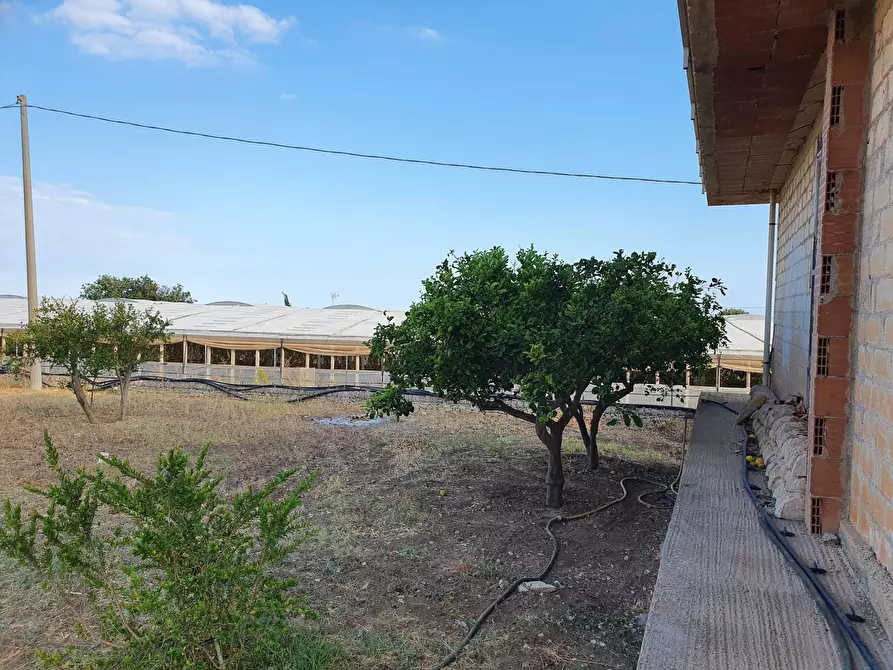 Immagine 8 di Villa in vendita  in Strada Provinciale 40 a Scicli