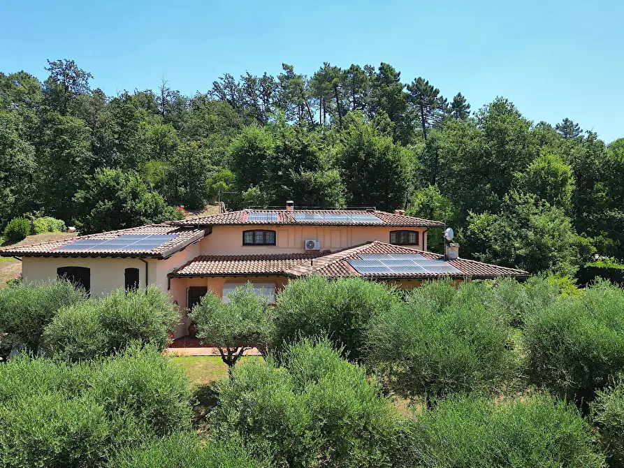 Immagine 1 di Villa in vendita  in Via dei Borelli a Lucca