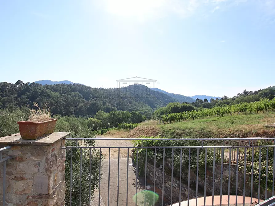 Immagine 11 di Rustico / casale in vendita  in Via del Francia 95 a Lucca