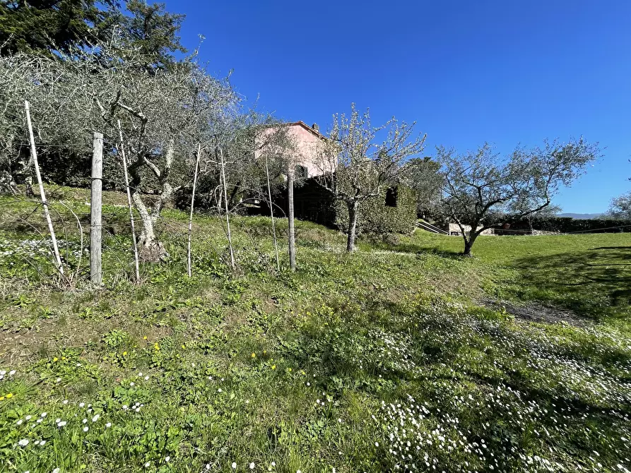 Immagine 31 di Rustico / casale in vendita  in Via di Mammoli a Lucca