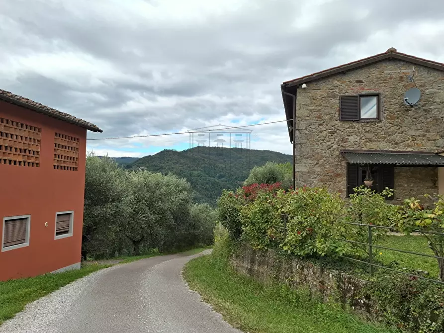 Immagine 4 di Rustico / casale in vendita  in Via Casa Nuova a Pescia