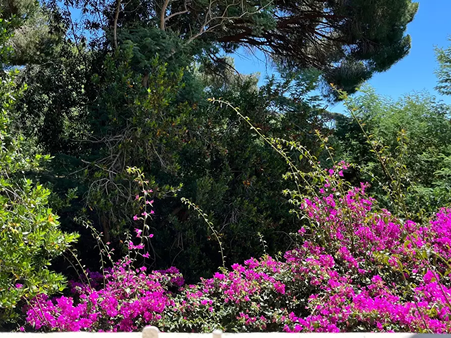 Immagine 19 di Rustico / casale in vendita  in Località Monte 4 a Porto Azzurro