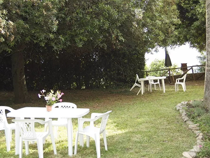 Immagine 15 di Rustico / casale in vendita  in Via di matraia a Lucca