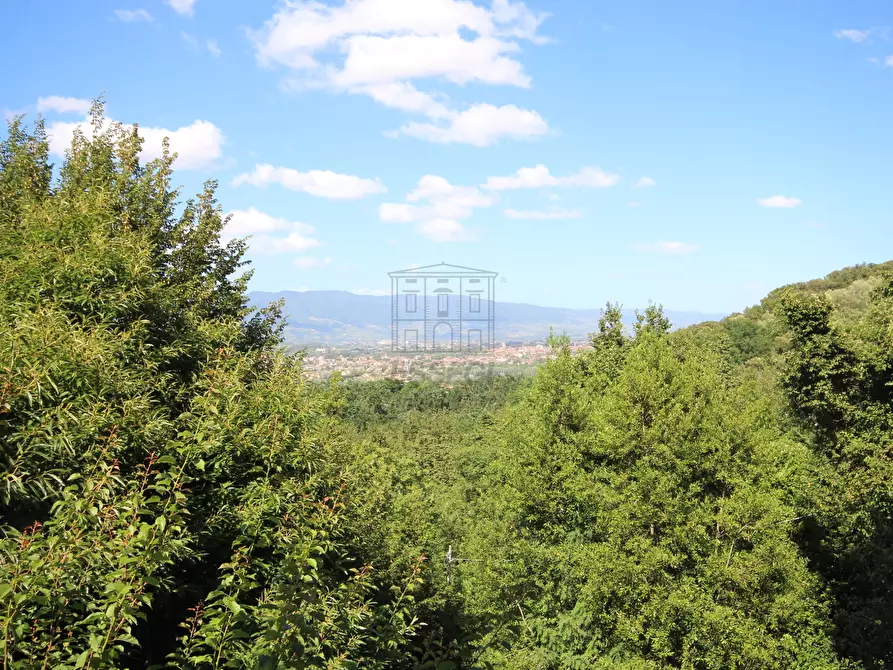 Immagine 6 di Rustico / casale in vendita  a Lucca