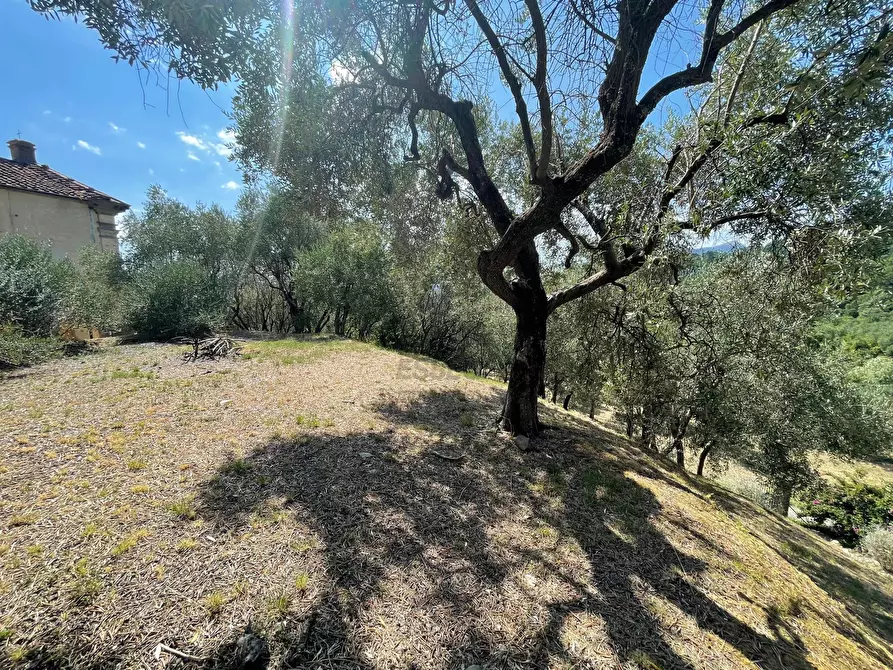 Immagine 12 di Rustico / casale in vendita  in Traversa I Via Orzali Angelo 50 a Lucca