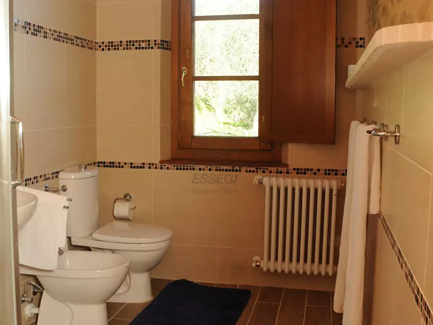 Immagine 22 di Rustico / casale in vendita  in Strada Senza Nome 5 a Pescia