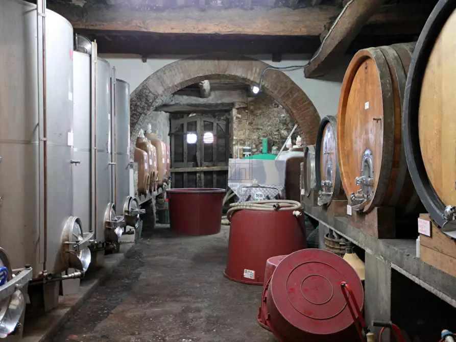 Immagine 46 di Rustico / casale in vendita  in Via di matraia a Lucca