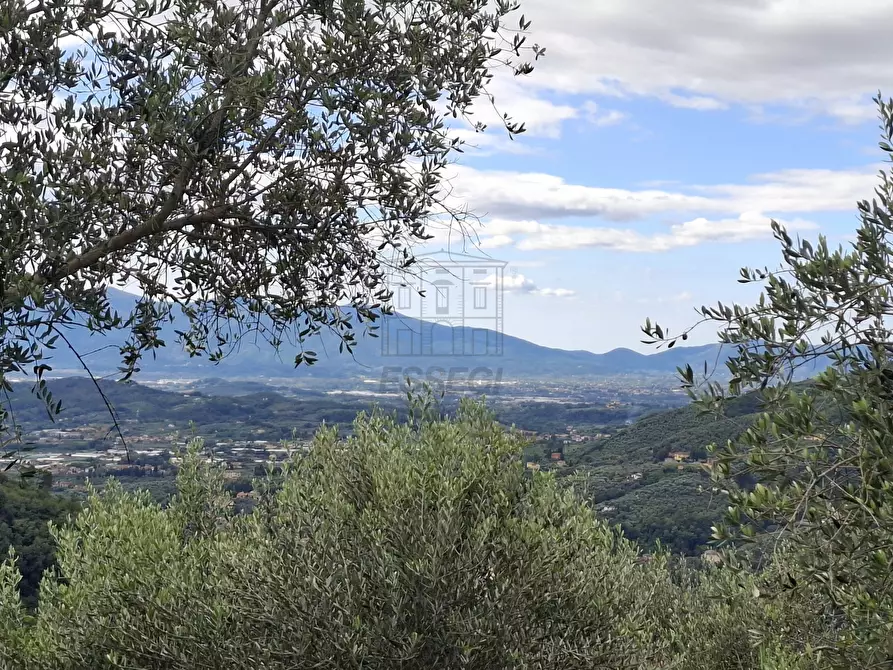 Immagine 34 di Rustico / casale in vendita  in Via Casa Nuova a Pescia