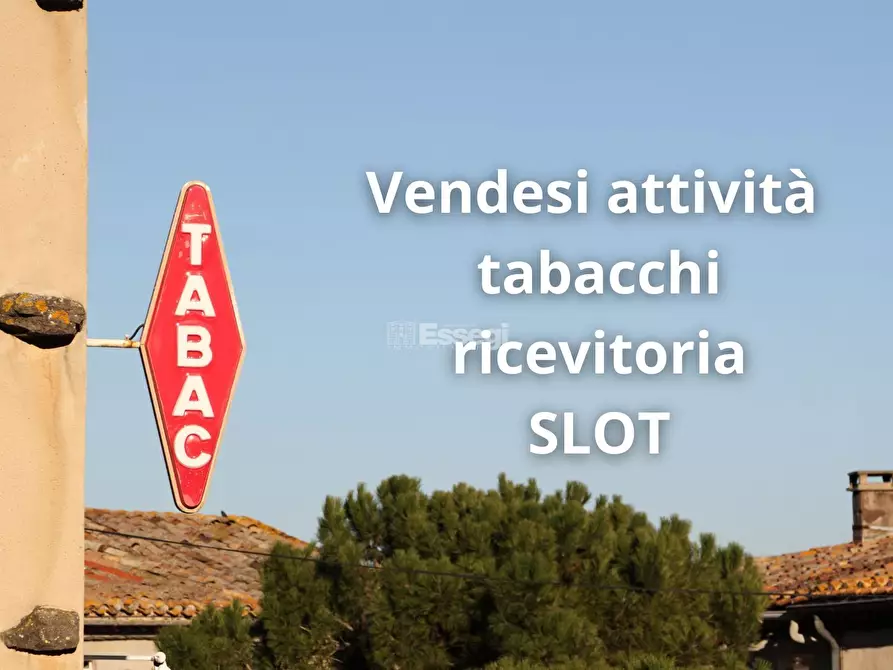 Immagine 1 di Tabaccheria in vendita  in Viale G. Puccini 527 a Lucca