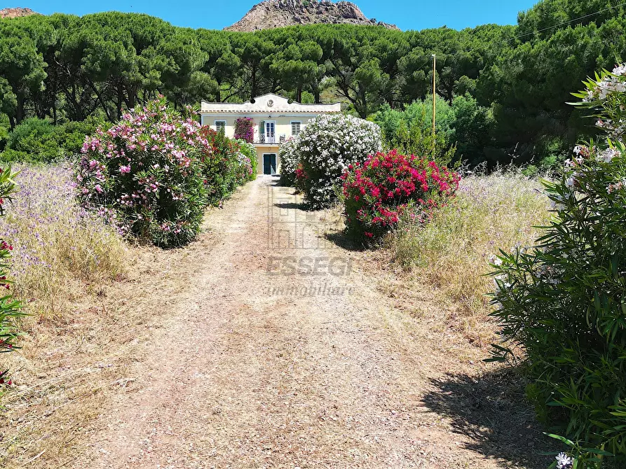 Immagine 20 di Rustico / casale in vendita  in Località Monte 4 a Porto Azzurro
