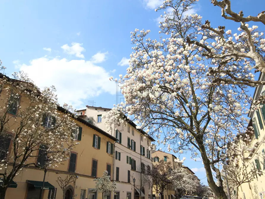 Immagine 6 di Locale commerciale in affitto  a Lucca