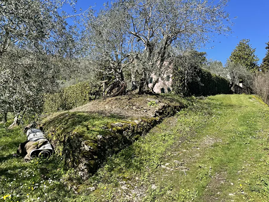 Immagine 29 di Rustico / casale in vendita  in Via di Mammoli a Lucca