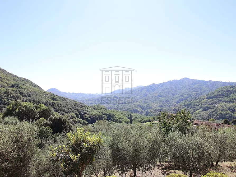 Immagine 30 di Rustico / casale in vendita  in Località Frantoio, Valdottavo 17 a Borgo A Mozzano