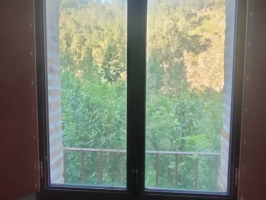 Immagine 7 di Casa indipendente in vendita  in Via San Sebastiano 11 a Palizzi