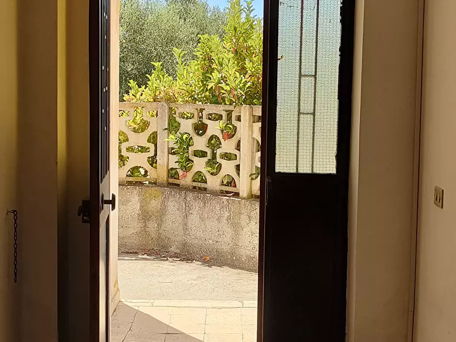 Immagine 11 di Bilocale in affitto  in Contrada Gruda a Palizzi