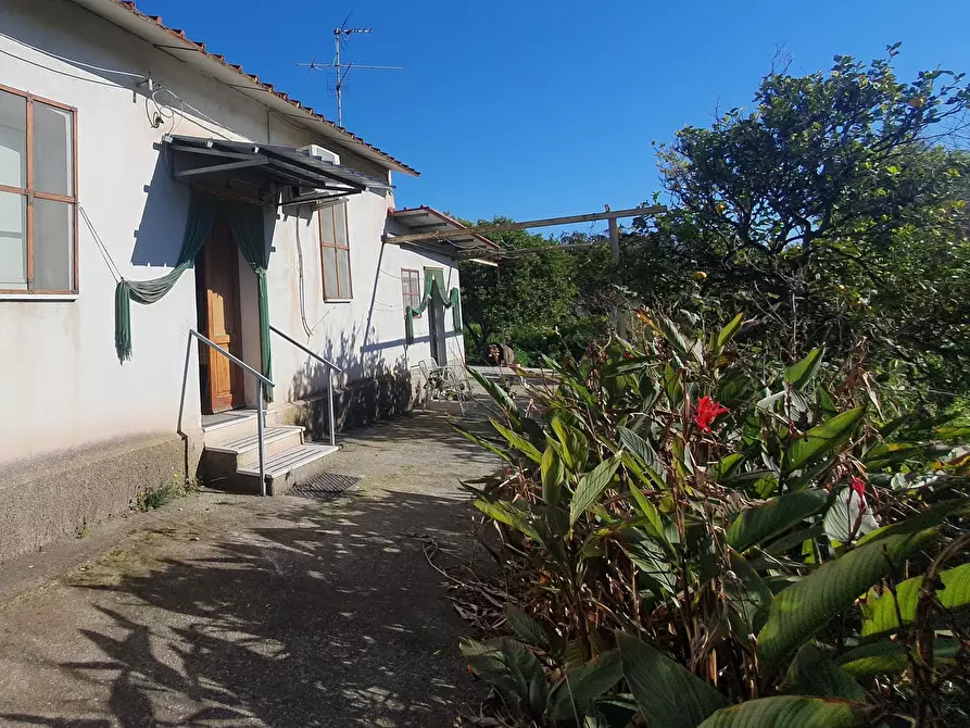 Immagine 5 di Terreno industriale in vendita  a Reggio Di Calabria