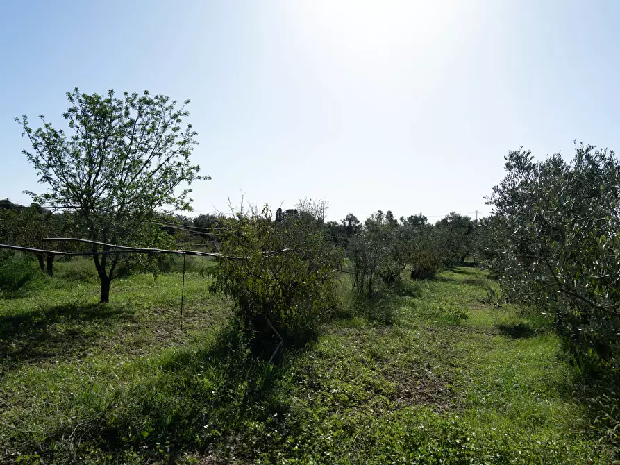 Immagine 2 di Villa in vendita  a San Sperate