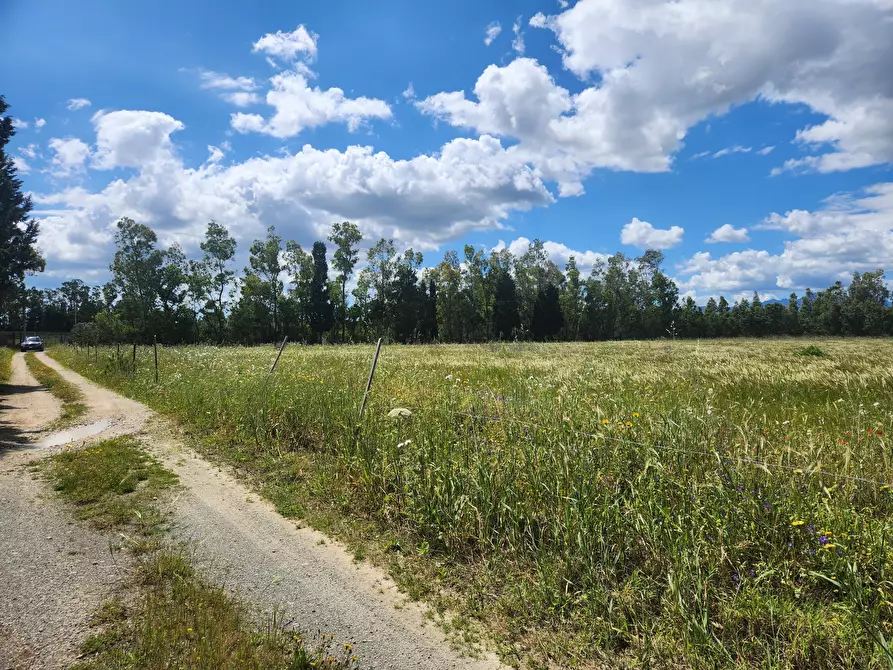 Immagine 3 di Terreno agricolo in vendita  a Decimomannu