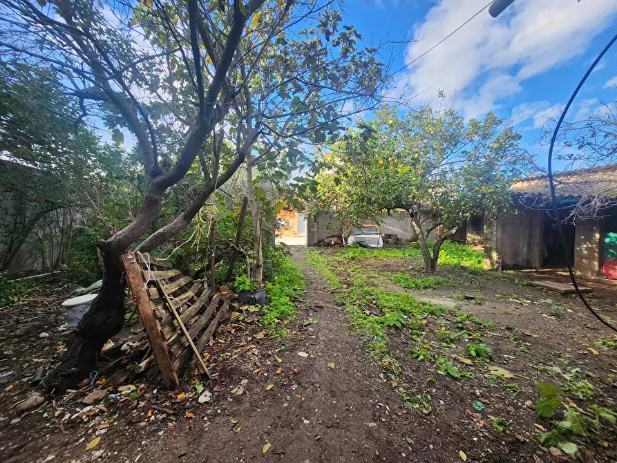 Immagine 4 di Casa indipendente in vendita  a San Sperate
