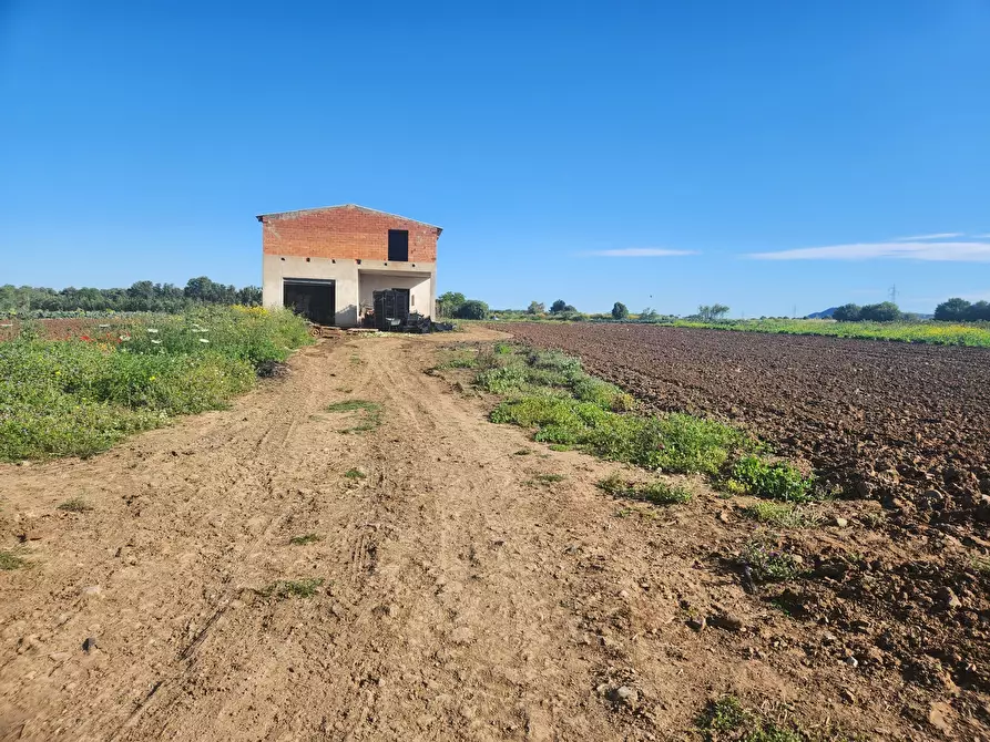Immagine 4 di Casa indipendente in vendita  a San Sperate