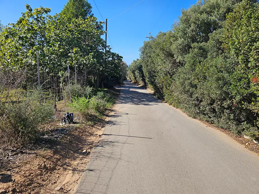 Immagine 6 di Terreno agricolo in vendita  in Via delle More a Quartucciu