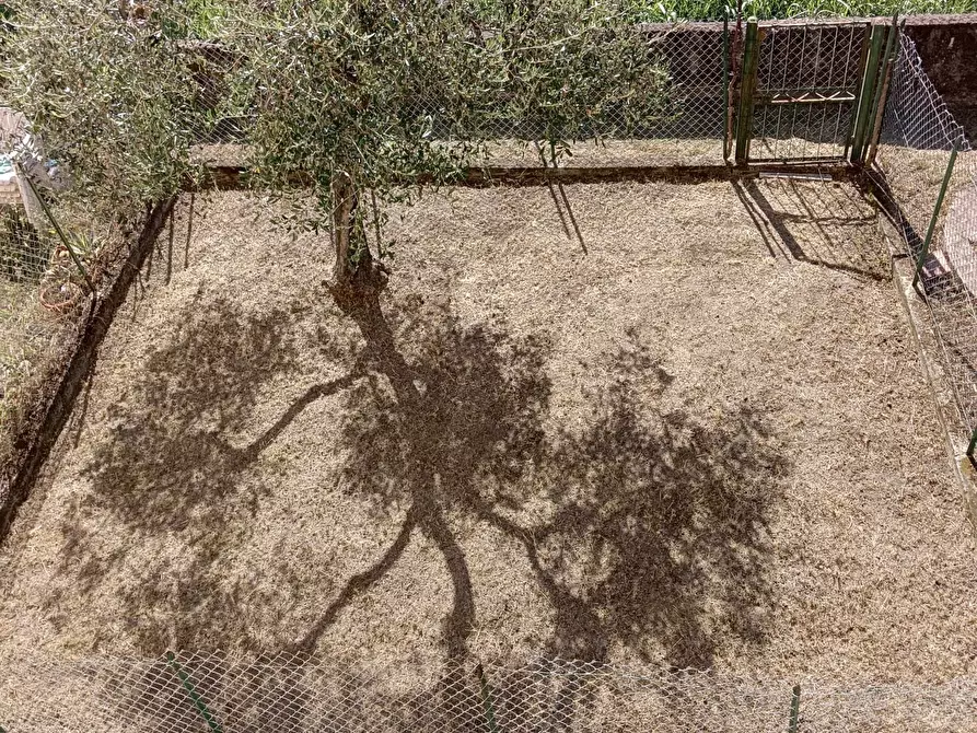 Immagine 14 di Pentalocale in vendita  a Fosdinovo