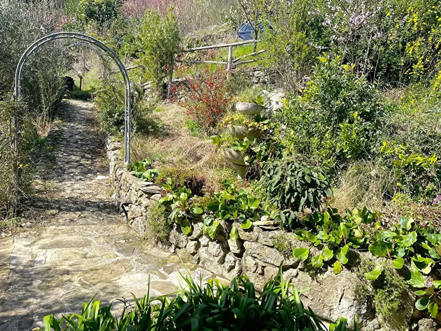 Immagine 5 di Casa trifamiliare in vendita  a Tresana