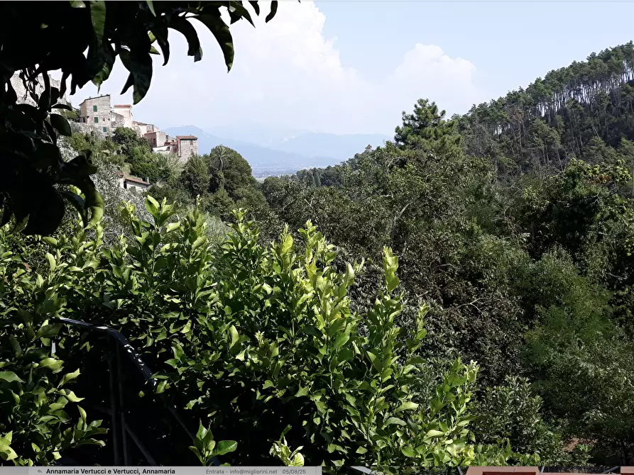 Immagine 14 di Casa indipendente in vendita  a Ameglia